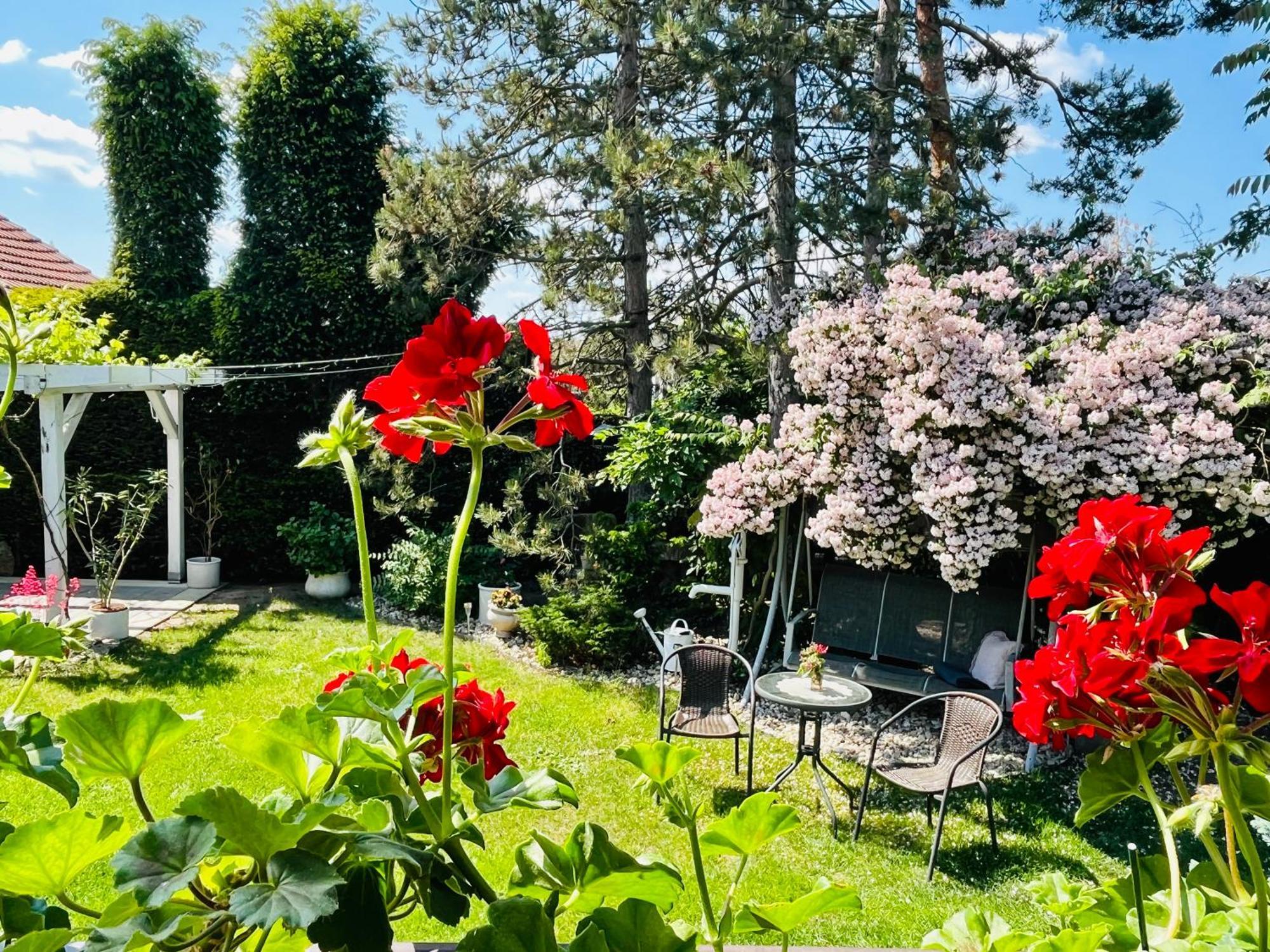 Relaxacni Studio Vera S Ubytovanim Valtice Dış mekan fotoğraf
