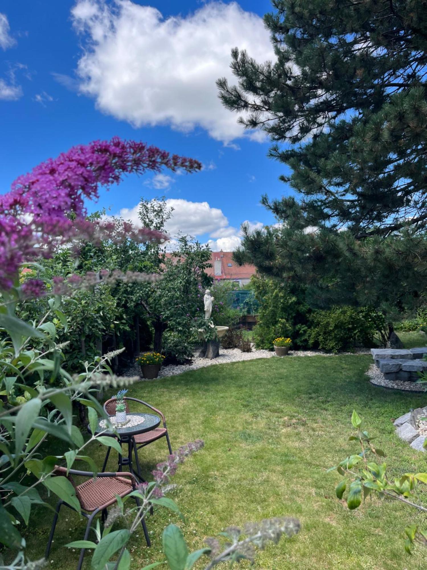 Relaxacni Studio Vera S Ubytovanim Valtice Dış mekan fotoğraf