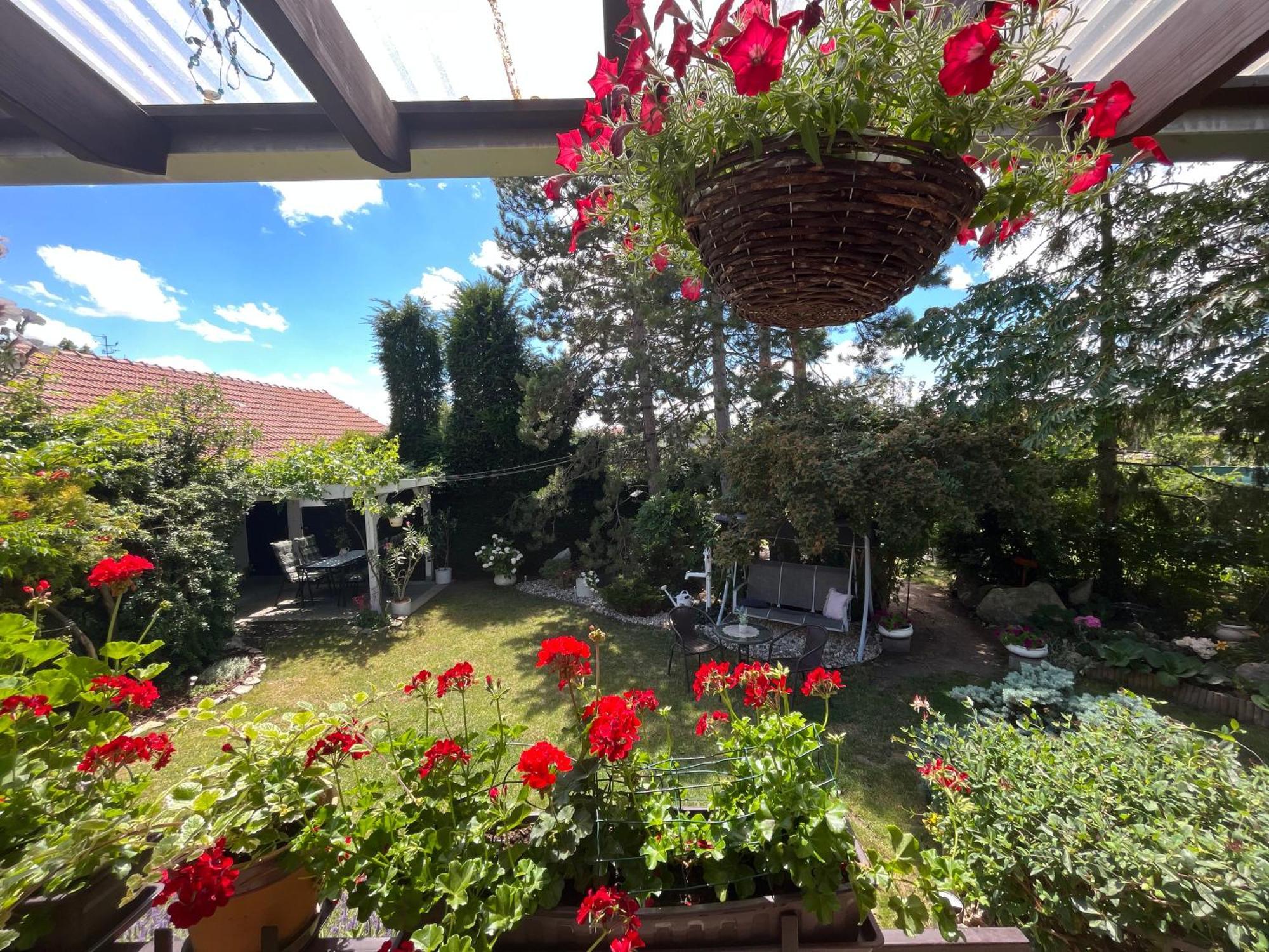 Relaxacni Studio Vera S Ubytovanim Valtice Dış mekan fotoğraf