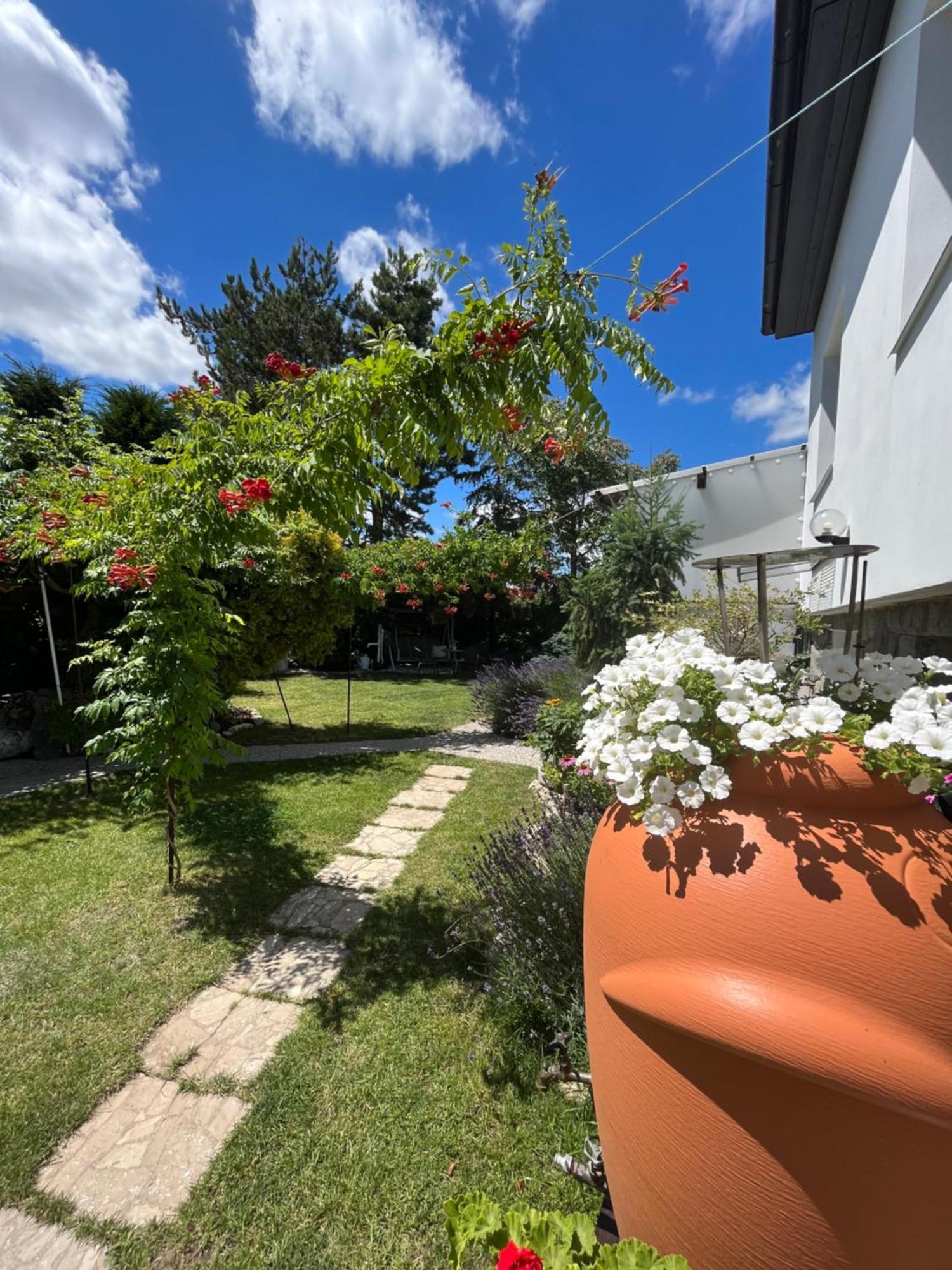 Relaxacni Studio Vera S Ubytovanim Valtice Dış mekan fotoğraf