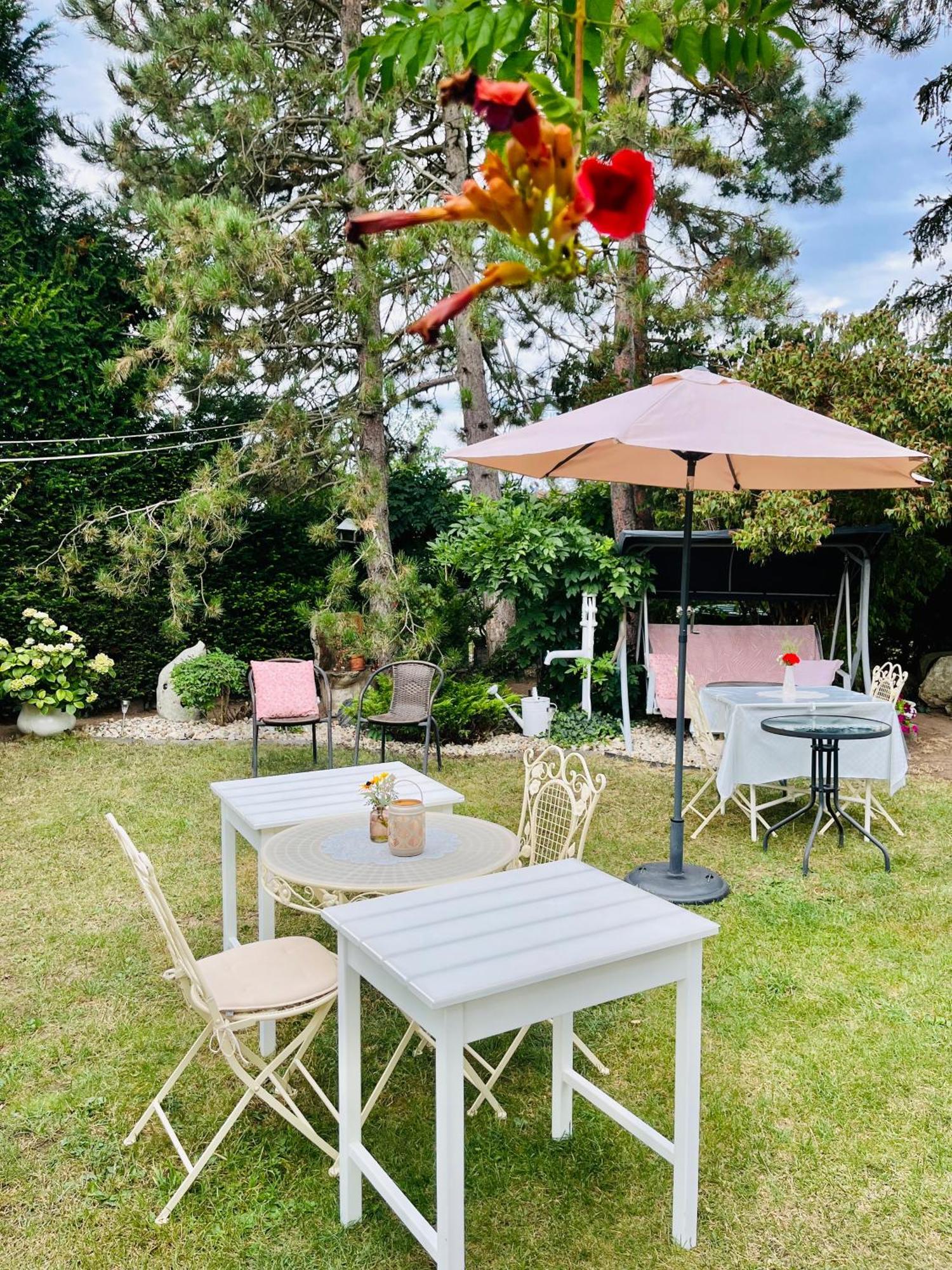 Relaxacni Studio Vera S Ubytovanim Valtice Dış mekan fotoğraf