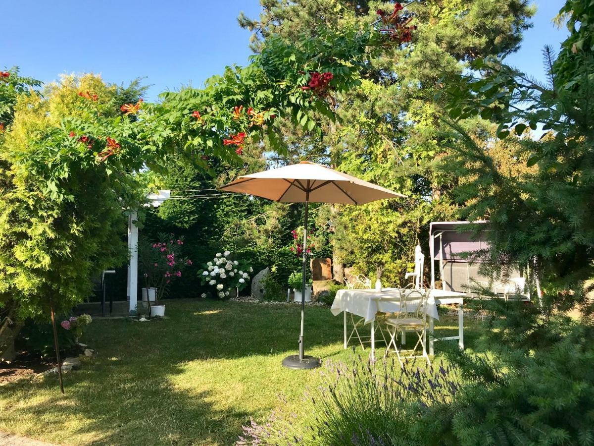 Relaxacni Studio Vera S Ubytovanim Valtice Dış mekan fotoğraf